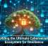 Building the Ultimate Cybersecurity Ecosystem for Resilience